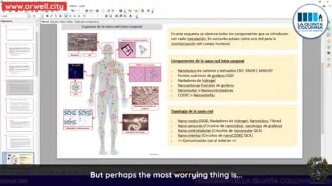 THE INTRA-BODY NANO-NETWORK