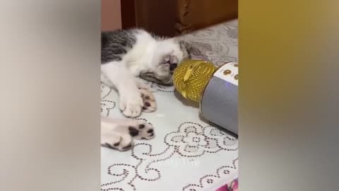 New Funny Animals (2023)-Funniest Cats and Dogs Video