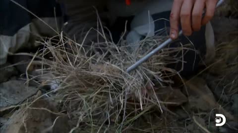 Bear Grylls' Jaw-Dropping Hunt for a Wild Pig #rumble _ Man Vs. Wild _ Discovery