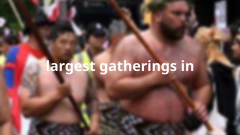 Thousands of Māori Protesters Flood NZ Parliament! #newzeland #news