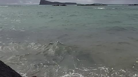 Enjoy on the beach with my love