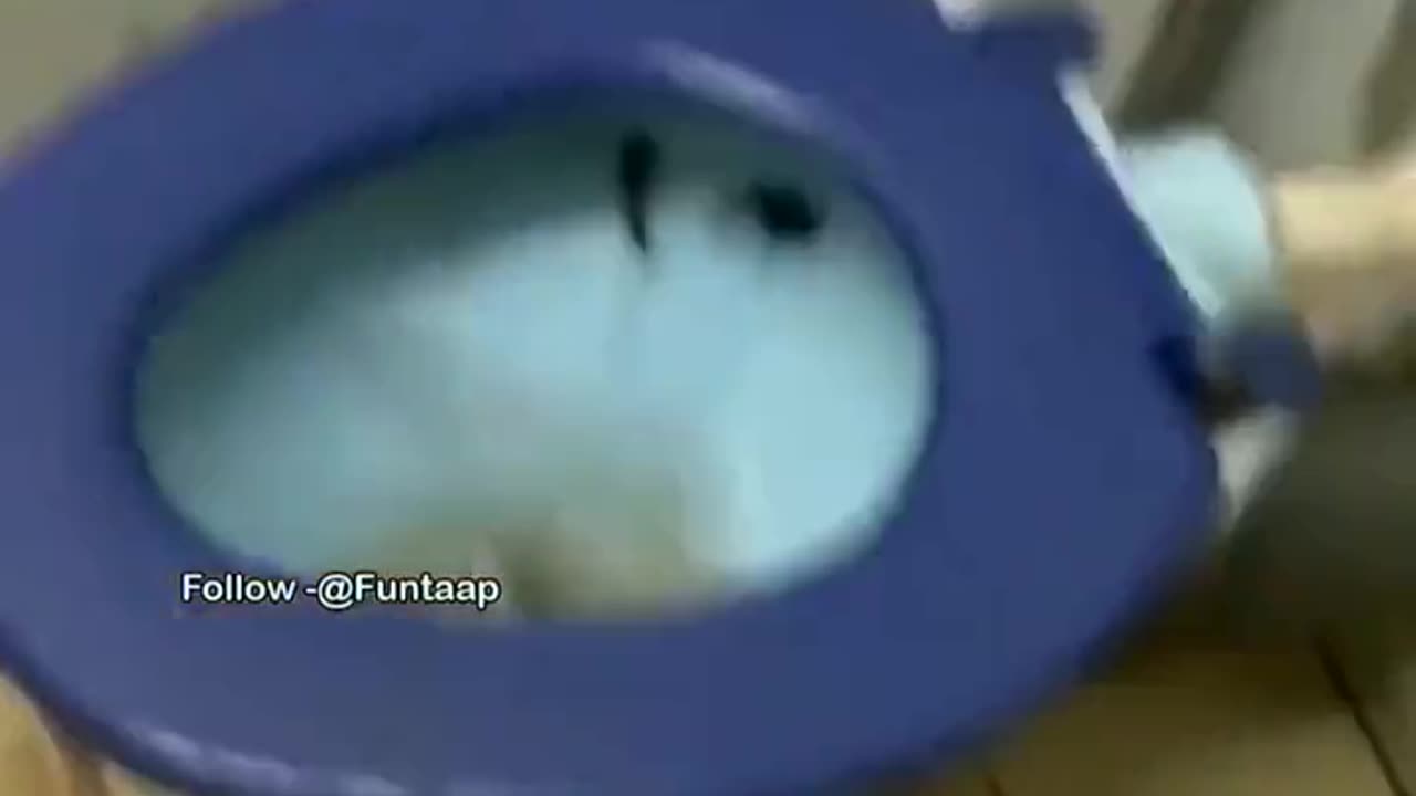 Terrifying