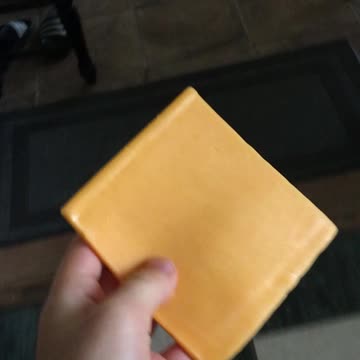 Try not to laugh at Harley