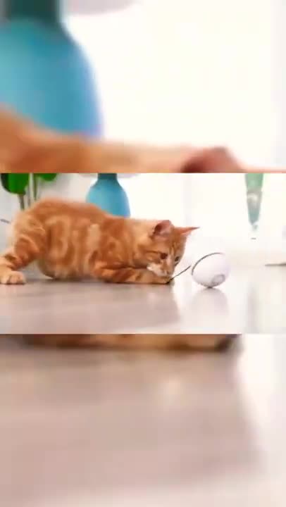 Automatic Smart Cat Toys Ball #Shorts