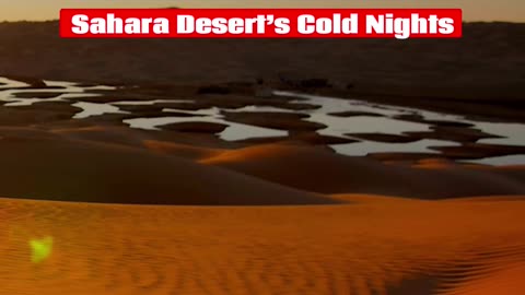 Amazing Facts About The Sahara Desert’s Cold Night