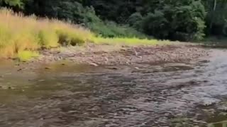 Sixteen Mile Creek Trail