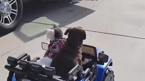 Truth About Gas Stations