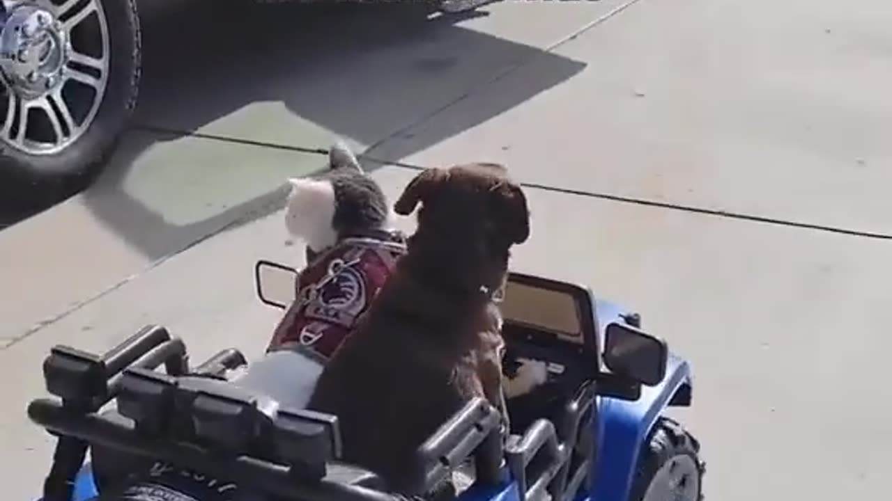 Truth About Gas Stations