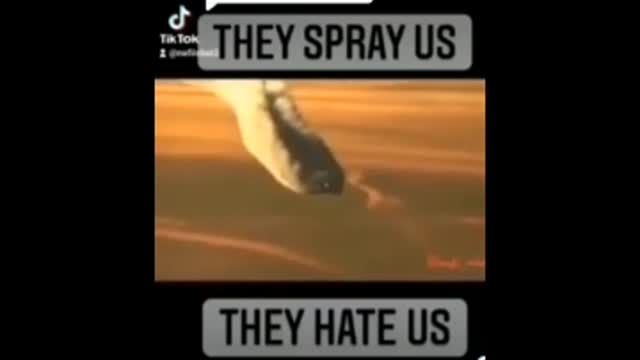 Jacinda said it you better believe it