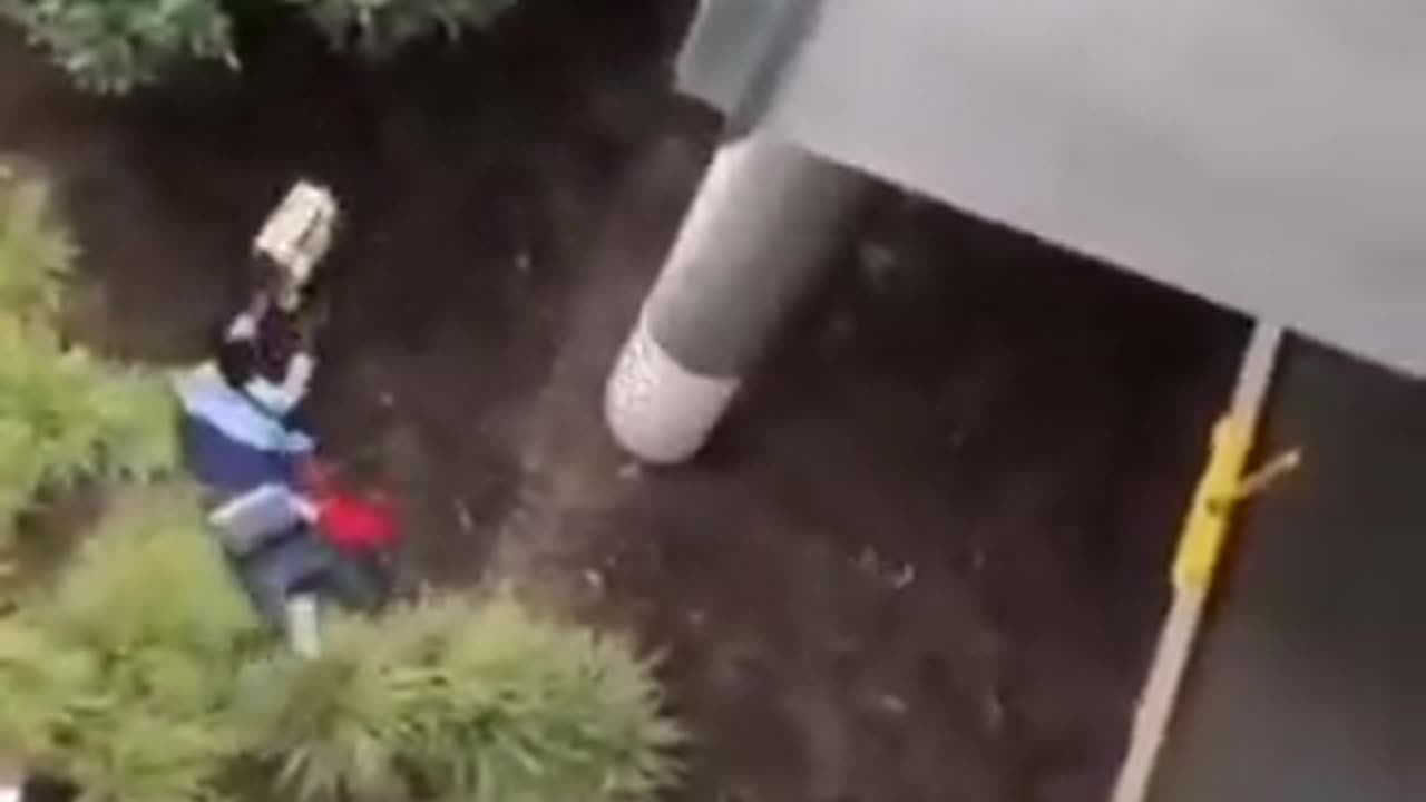 Thief fell from the bridge with someone's belongings