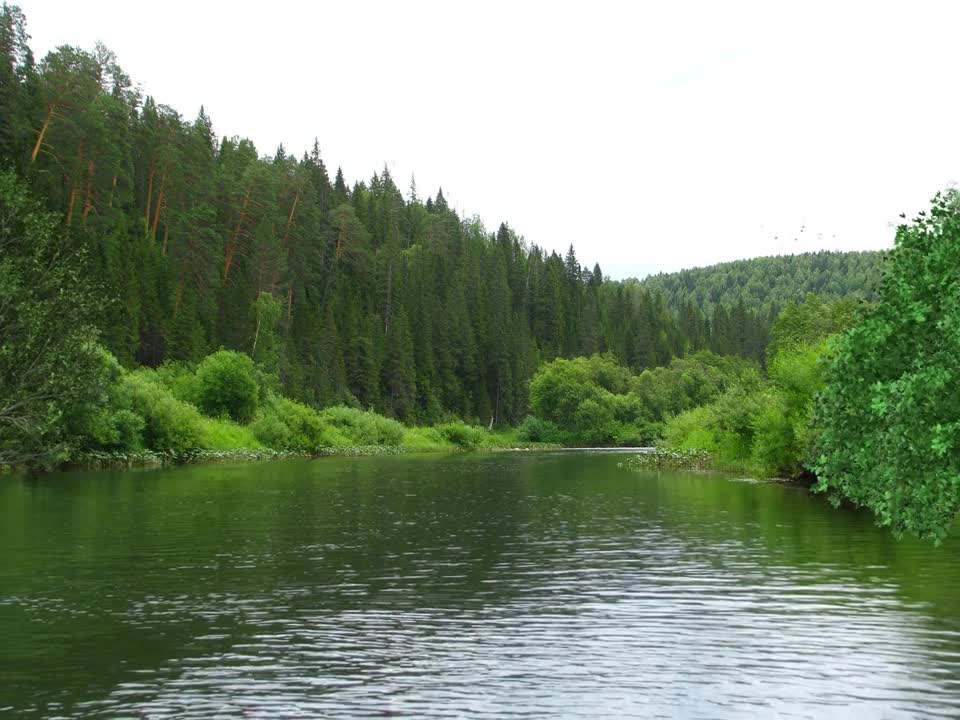 Relax Library: Video 58.Morning walk watching the river