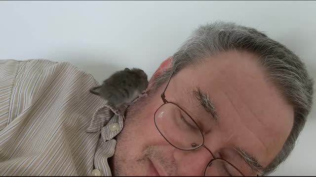 little rat fun