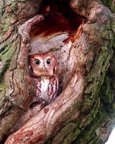 Nice camouflage 👍