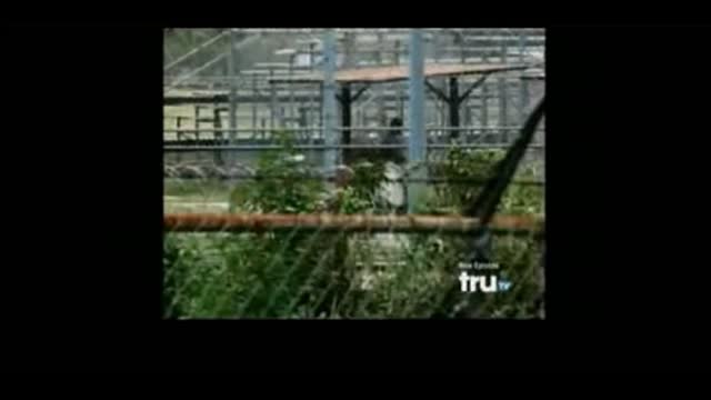 JESSE VENTURA! VIRUS CONSPIRACY FACT!