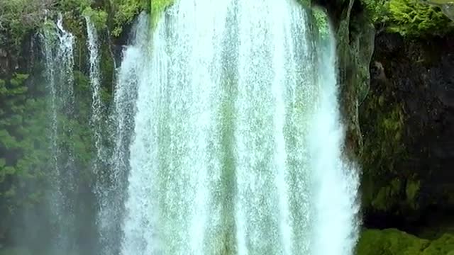 Nature lovers just love it