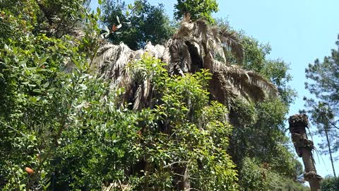 Man, I love this place...