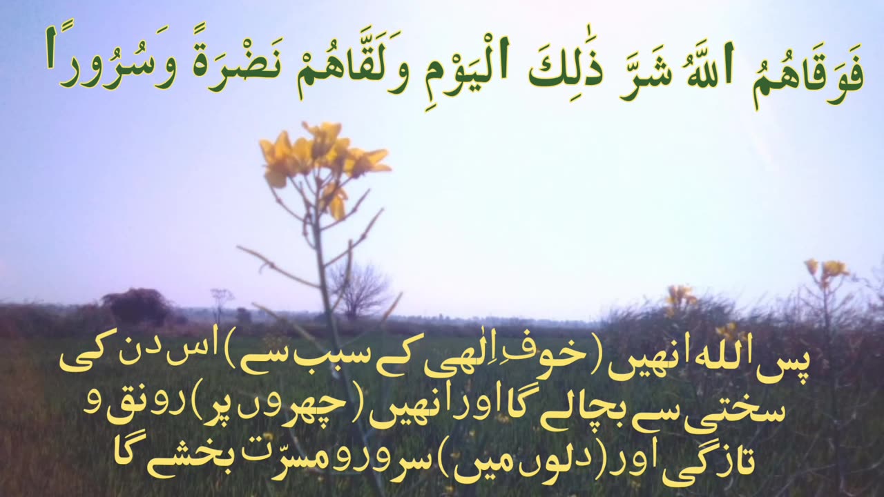 Surah Al-Insan ayat 10, 11 and 12