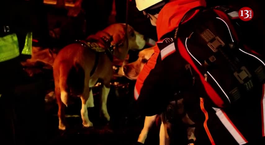 Dnipro TONIGHT: sniffer dogs help FIND dead bodies or signs of people trapped in the rubble