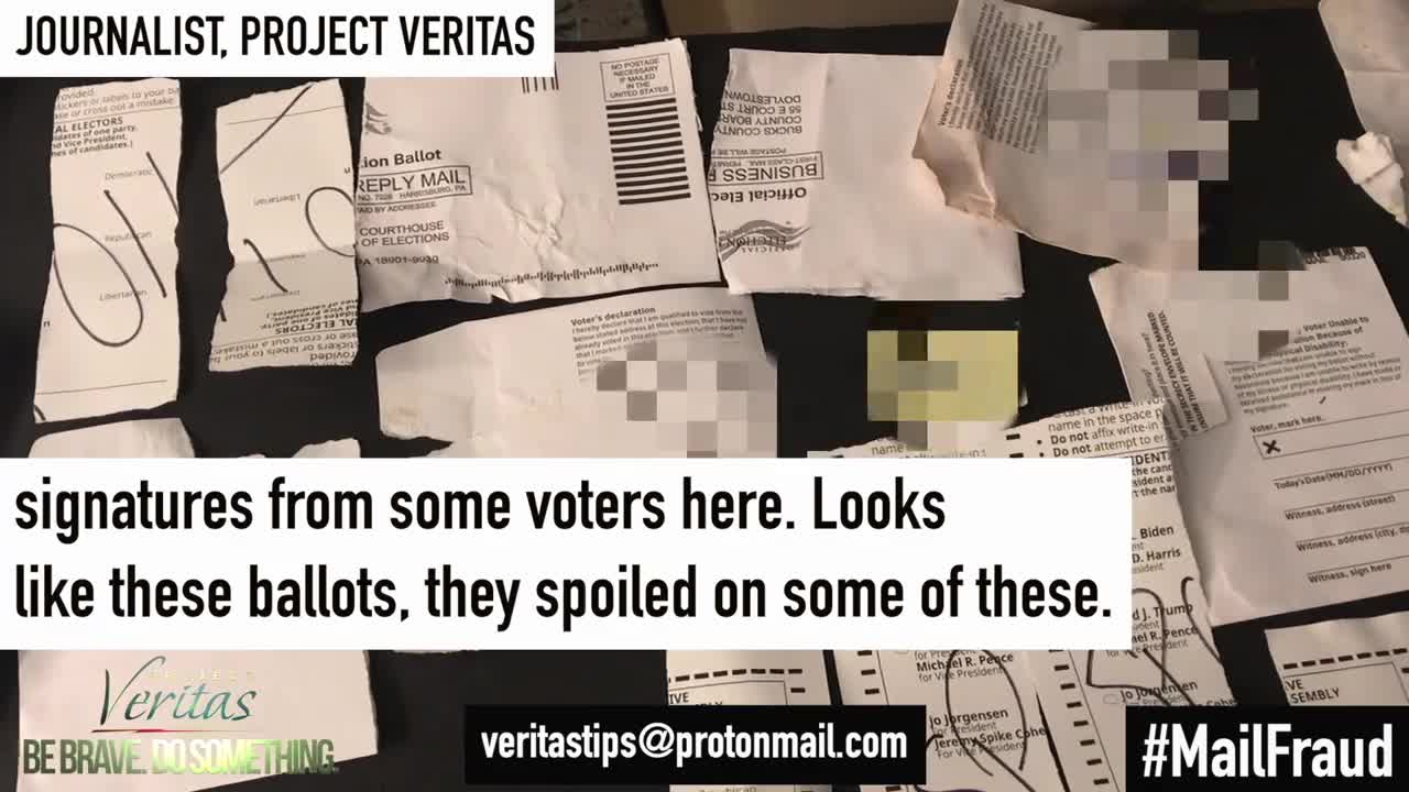 Project Veritas ~ Elections Director Tom Freitag CONFIRMS Spoiled Ballots Illegally Handled