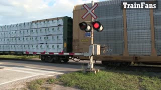 CN 2314 CN 5682 & CN 8823 Engines Manifest Train Westbound On Strathroy Sub