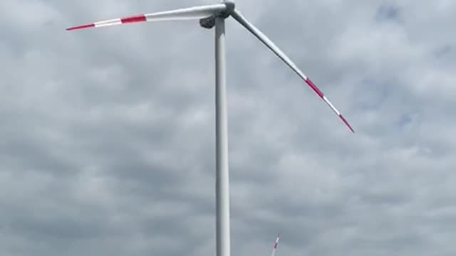 A windmill in action