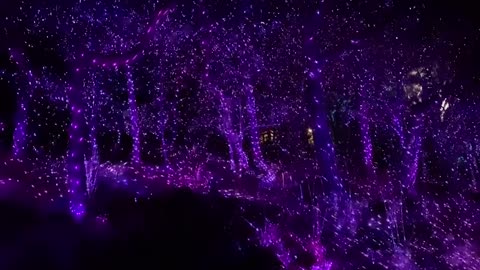 Beautiful light festivals and amazing sights(5)