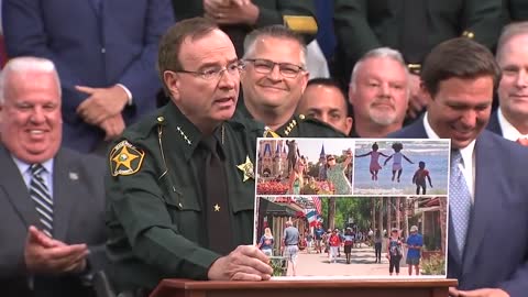 'Florida anti-riot bill for dummies' by Ron DeSantis, Grady Judd