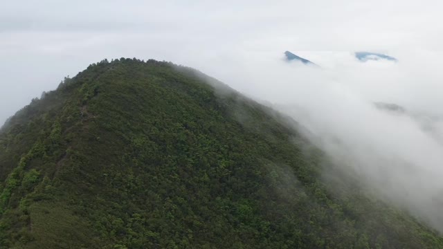 The most beautiful scenery of natural ropes