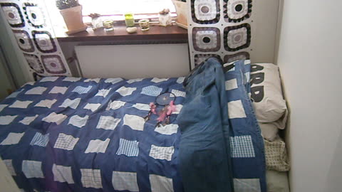 Möblerat om igen. Fredsgatan i Helsingborg.. Påskdagen 31 Mars 2013