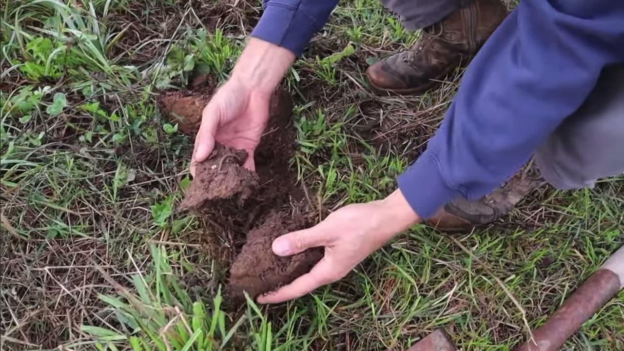 Illinois farmer sets out to “heal and restore” 100 years of toxic farming and bad soil