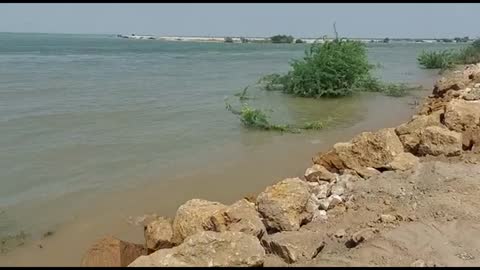 Pakistan: dikes being strengthened around Sehwan