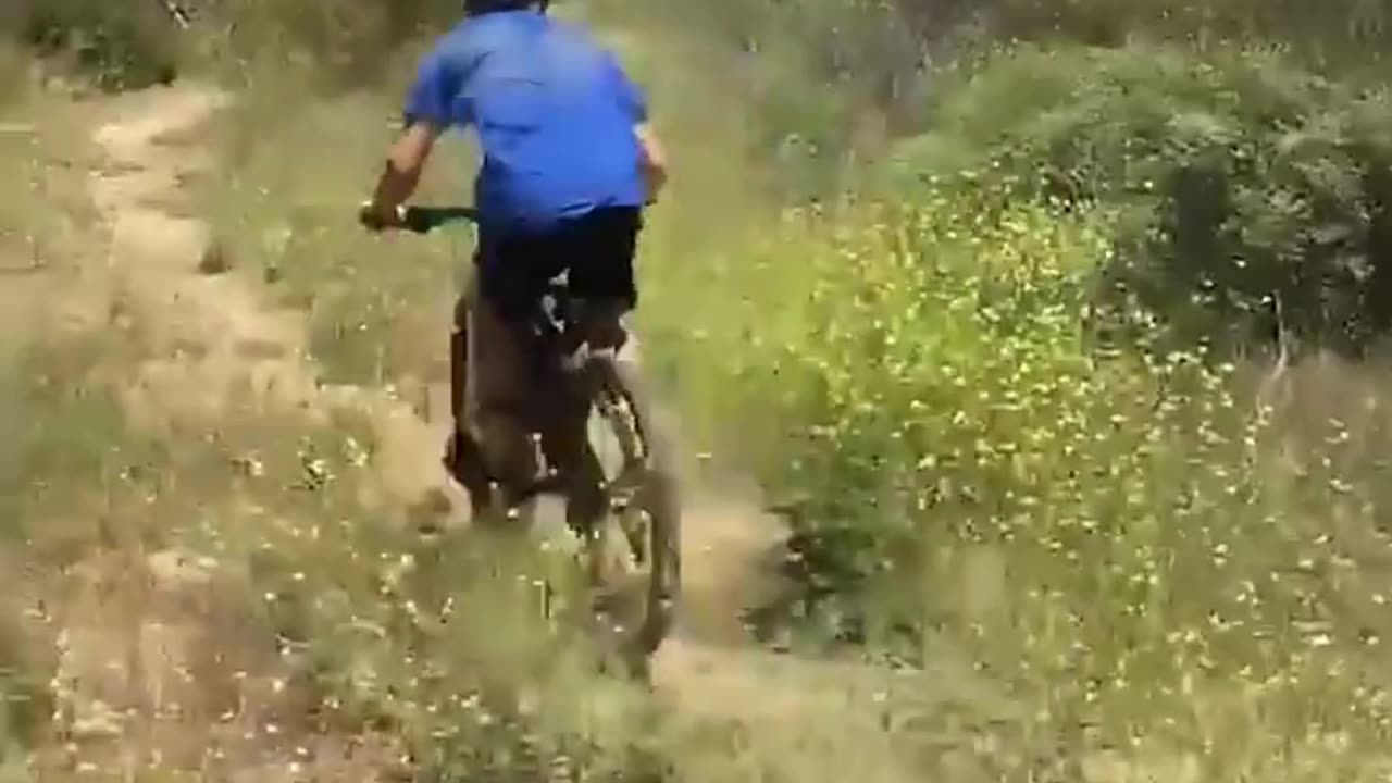 The end 😂😂😂 #funny #fails #shorts #reels #viral #humorexpose