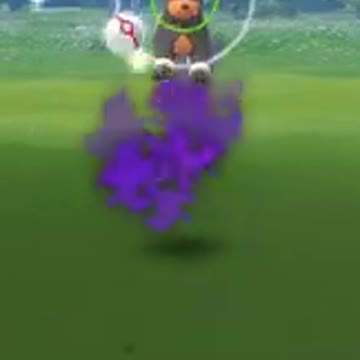 Pokémon GO-Shadow Houndour