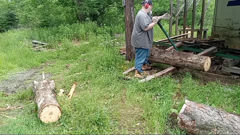 Cutting maple