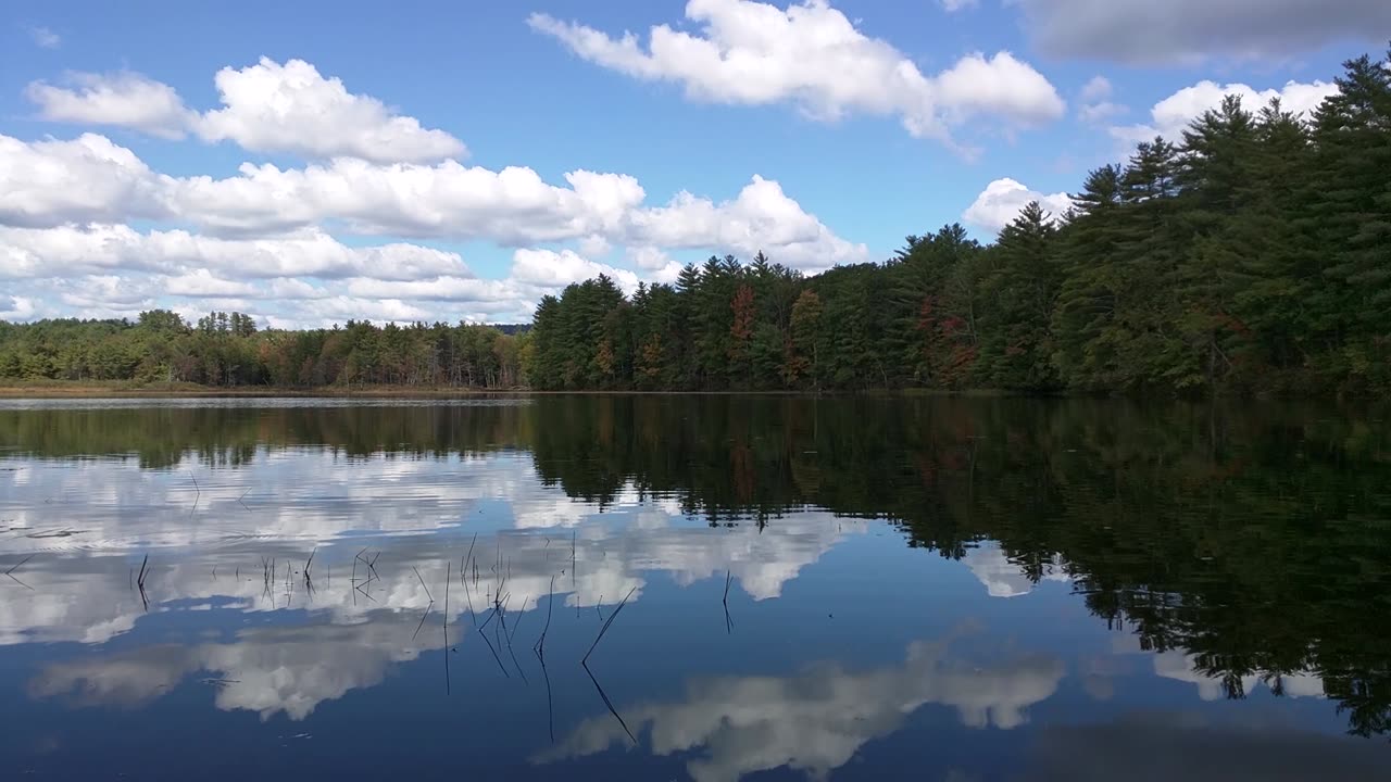 Lake in fall
