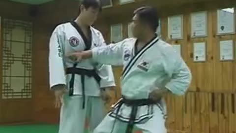 Hapkido