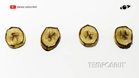 Banana Timelapse