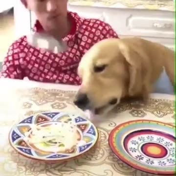 Tag that friend who steals your food.