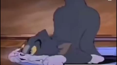 "Tom and Jerry: Real-Life Adventures"