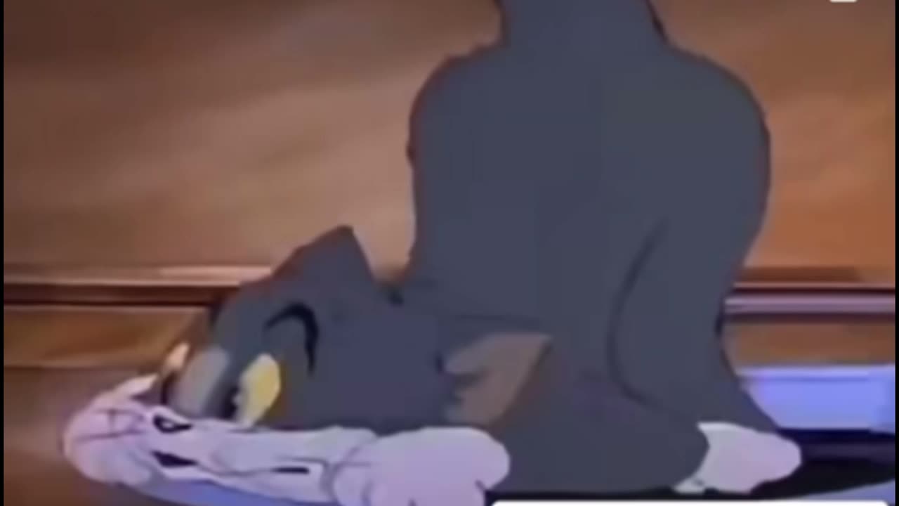 "Tom and Jerry: Real-Life Adventures"