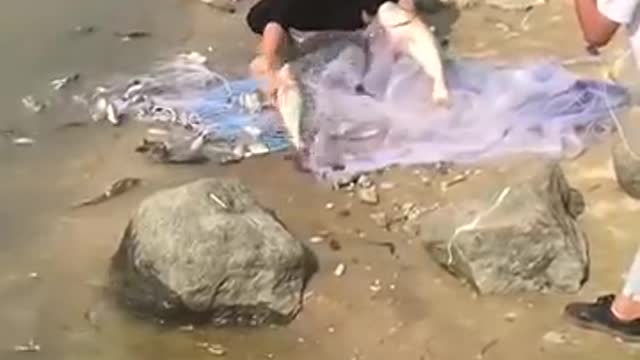 Amazing Asian Cast Net Fishing