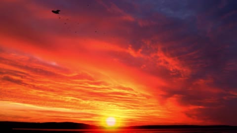 sunrise at sea with birds