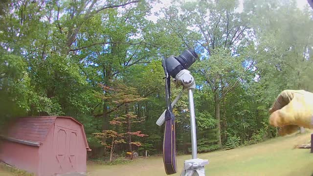 First-Person Perspective of Dismantling a Five-Foot Beehive