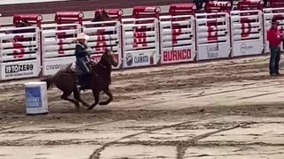 Barrel Racing at the Calgary Stampede Rodeo