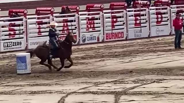 Barrel Racing at the Calgary Stampede Rodeo