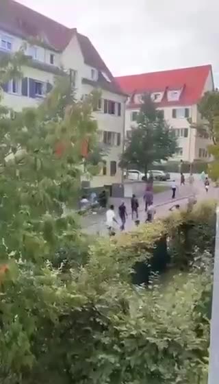 The current state of Germany_ jews import the third world, it becomes one