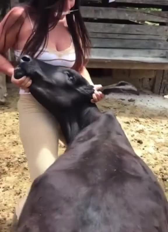 The Amazing Skills And Strength Of A Woman,