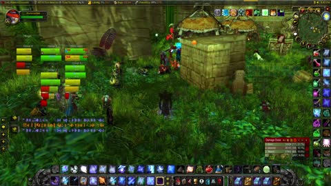 World of Warcraft Classic Shadow goes into Zul Gurrub