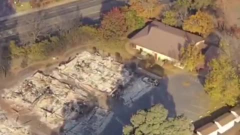 Hawaii Fires: Trees unharmed