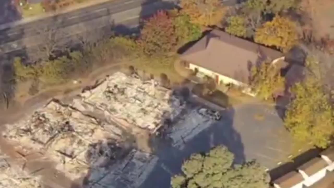 Hawaii Fires: Trees unharmed